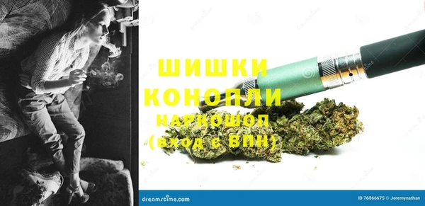 ПСИЛОЦИБИНОВЫЕ ГРИБЫ Арсеньев