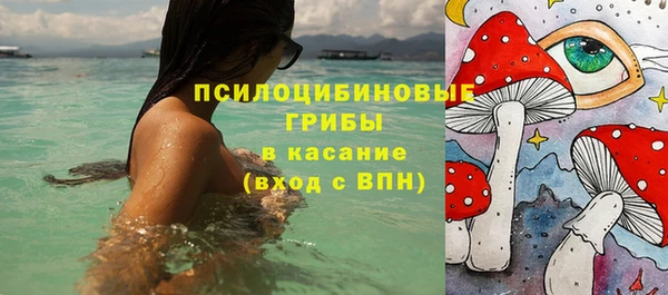 ПСИЛОЦИБИНОВЫЕ ГРИБЫ Арсеньев
