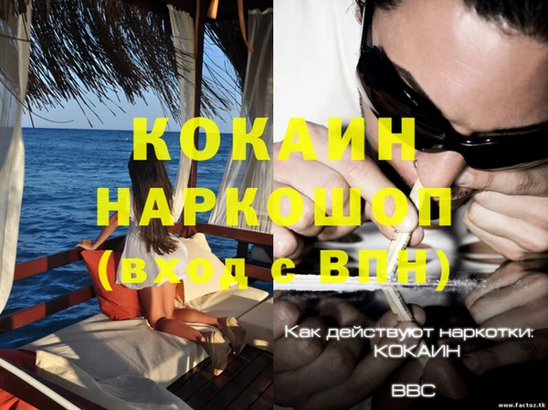 твердый Новокубанск