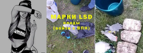 ПСИЛОЦИБИНОВЫЕ ГРИБЫ Арсеньев