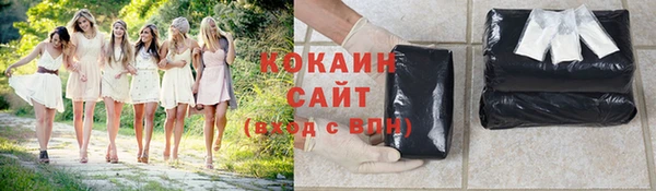 ПСИЛОЦИБИНОВЫЕ ГРИБЫ Арсеньев
