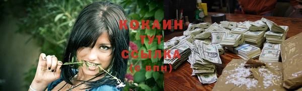 ПСИЛОЦИБИНОВЫЕ ГРИБЫ Арсеньев