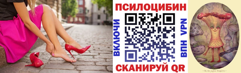 Псилоцибиновые грибы Psilocybe  Лесной 